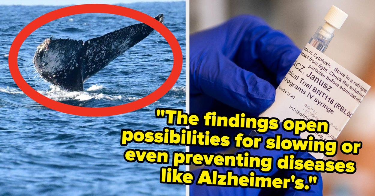 "Ozonlaget leges faktisk raskere enn forventet": 18 gode ting som skjer i verden som viser fremgang er mulig