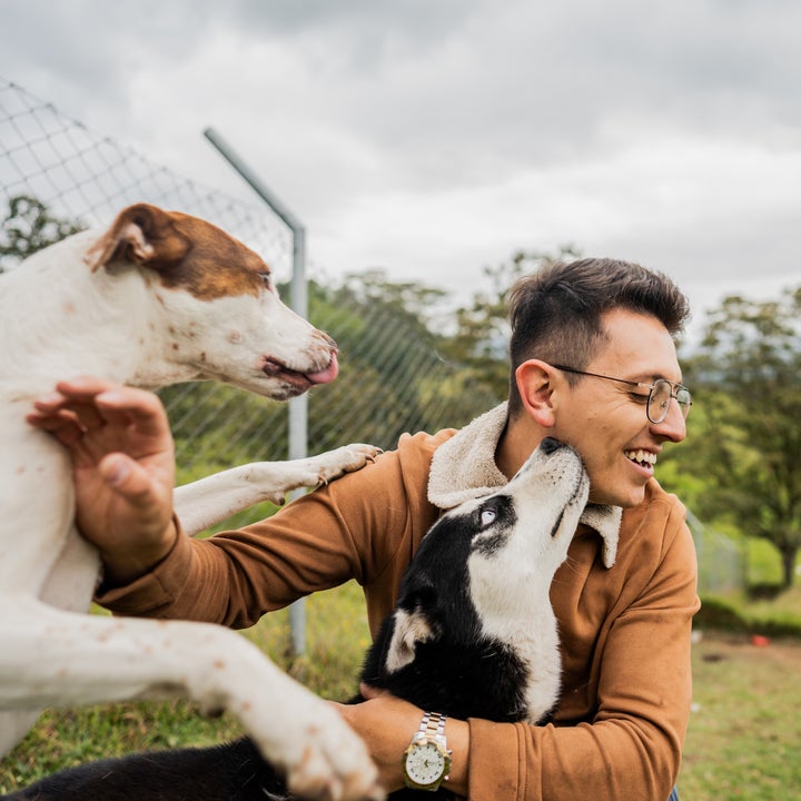 Person smiler mens to lekne hunder hopper på dem, utendørs i et gresskledd område med en låve i bakgrunnen