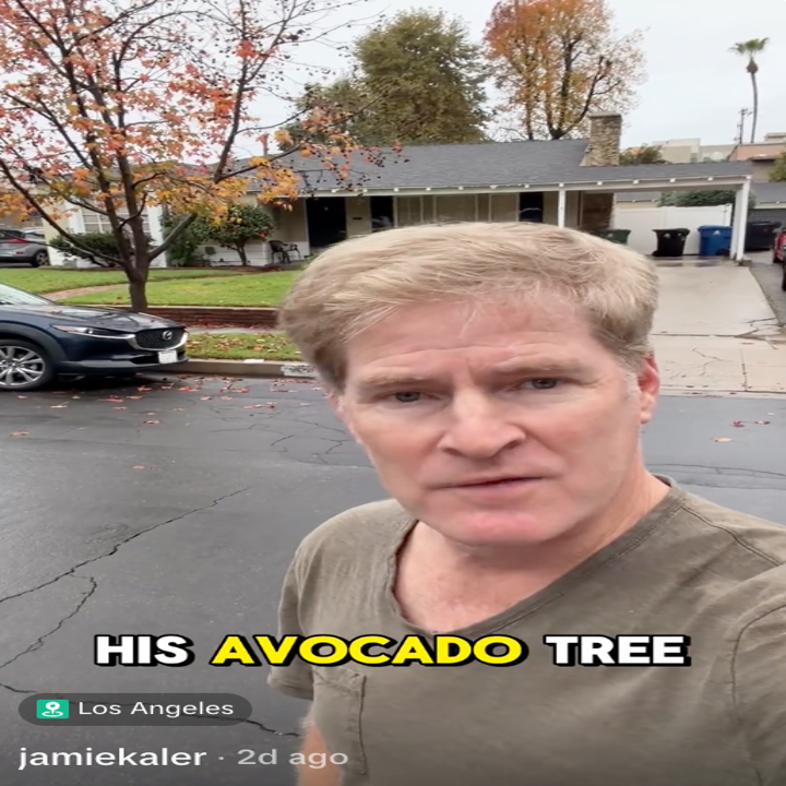 En person står i en boliggate, med tekstoverlegg som leser «HANS AVOKADOTRE».