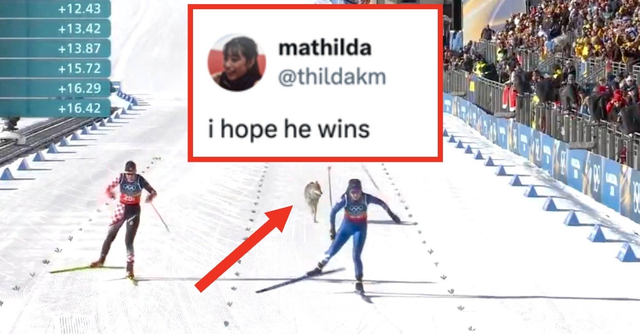 De morsomste tweetene om ulvehunden som krasjet i et olympisk løp