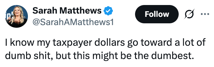 Jeg vet at skattebetalernes penger går til mye dumt, men dette kan være det dummeste