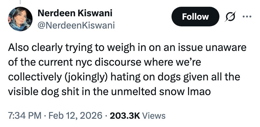 Tweet om NYC-diskursen om hunder og synlig hundeavfall i snøen