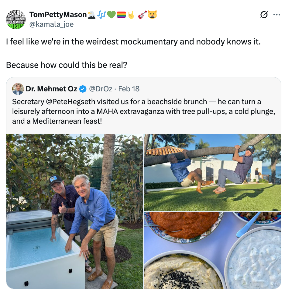 Tweet med to menn på en brunsj ved stranden, en klatrer i et tre. Mat og aktivitetsbilder er inkludert. Tweeten kommenterer scenens surrealistiske natur