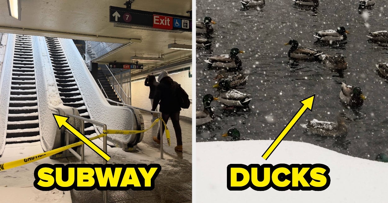 21 bilder av den ENORME snøstormen som slår mot Nordøst-USA som vil gjøre deg glad du er inne akkurat nå