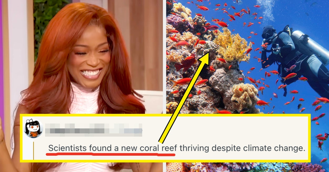 Folk deler de positive nyhetsoverskriftene som har "fløyet fullstendig under radaren", og det er et slikt friskt pust i disse fryktelige tidene