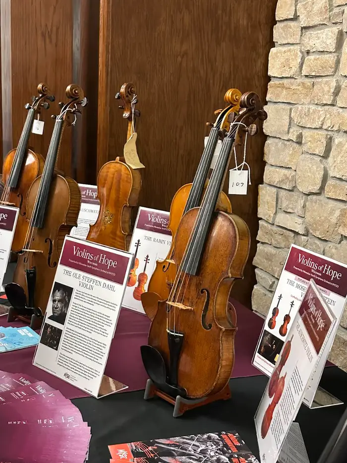 Fioliner vist på en 