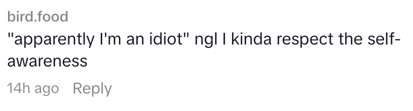 Kommentaren sier: "'tilsynelatende er jeg en idiot' ngl jeg respekterer selvbevisstheten" etterfulgt av et tidsstempel for 14 timer siden