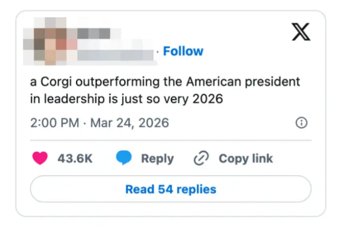 Tweet som antyder at en Corgi ville overgå den amerikanske presidenten i ledelsen i 2026