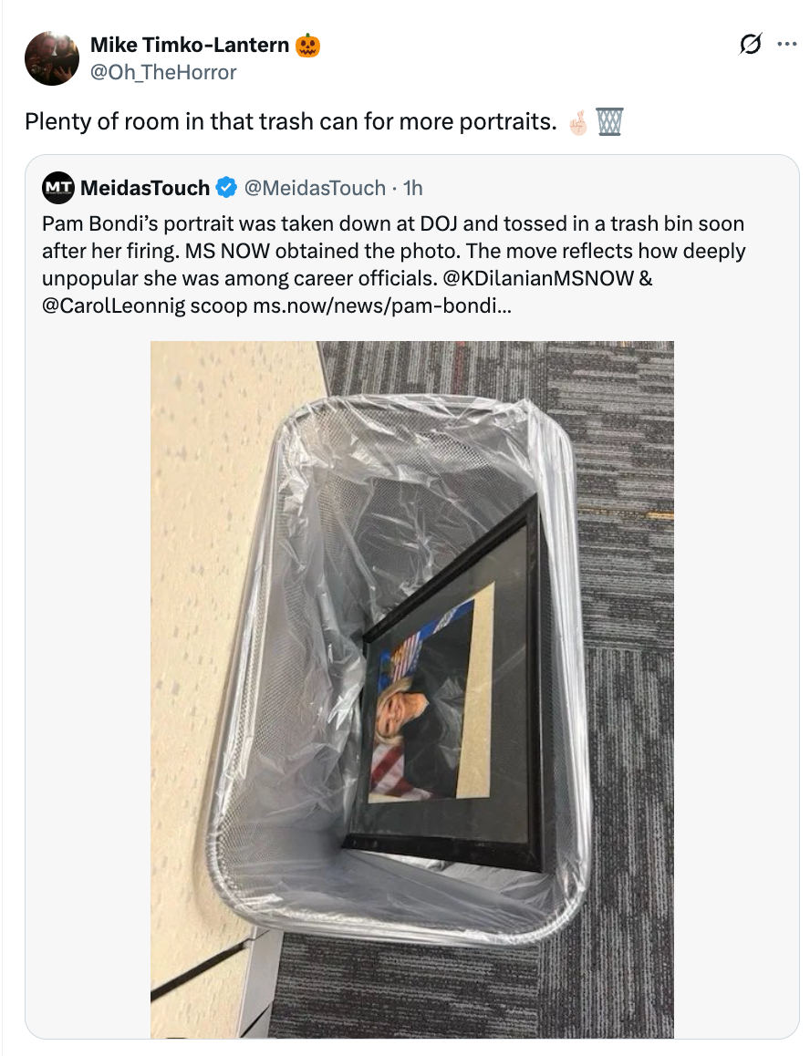Tweet med bilde av Pam Bondis portrett i en søppelbøtte, kritisert etter at hun sparket