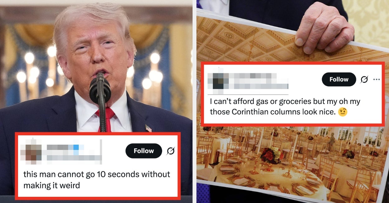 "Tenk deg å være så dypt inne i MAGA-kulten": 17 virkelig ville politiske historier som fløy under radaren denne uken