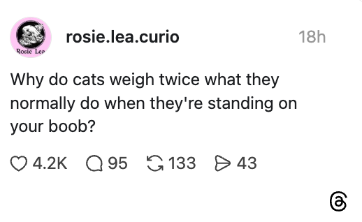 Sosiale medier-innlegg som stiller spørsmål ved hvorfor katter føler seg tyngre når de ligger på noens bryst, med engasjementsstatistikk vist
