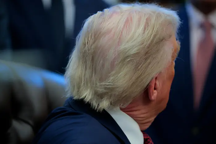 Donald Trump-drakten sitter vendt bort fra kameraet, og viser bare bakhodet og skulderen i kontormiljøer; håret hans har tydelige hull i seg