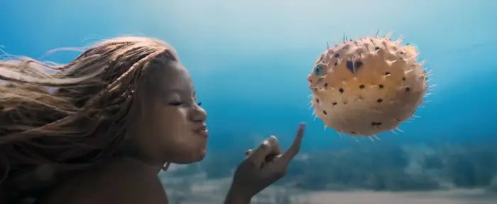 Person som leker under vann med en pufferfish