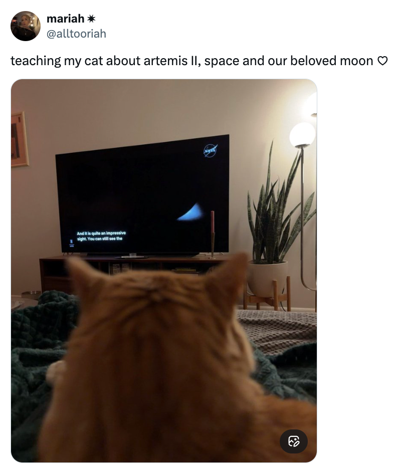 En katt ser på et TV-program om Artemis II, verdensrommet og månen. Rommet har koselig innredning