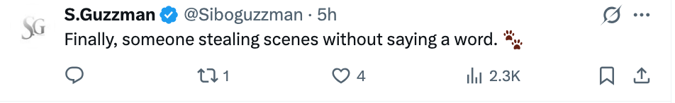 Tweet av S. Guzzman: "Endelig er det noen som stjeler scener uten å si et ord."