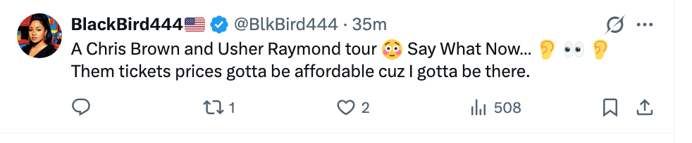 En tweet som uttrykker begeistring over en hypotetisk Chris Brown og Usher Raymond-tur, som nevner billettpriser bør være rimelige å delta på
