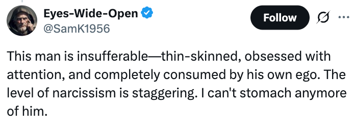 Tweet som kritiserer en mann for å være tynnhudet, oppmerksomhetsbesatt og narsissistisk