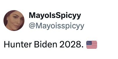Profil med navnet MayolSpicyy diskuterer Hunter Biden 2028, etterfulgt av en amerikansk flagg-emoji