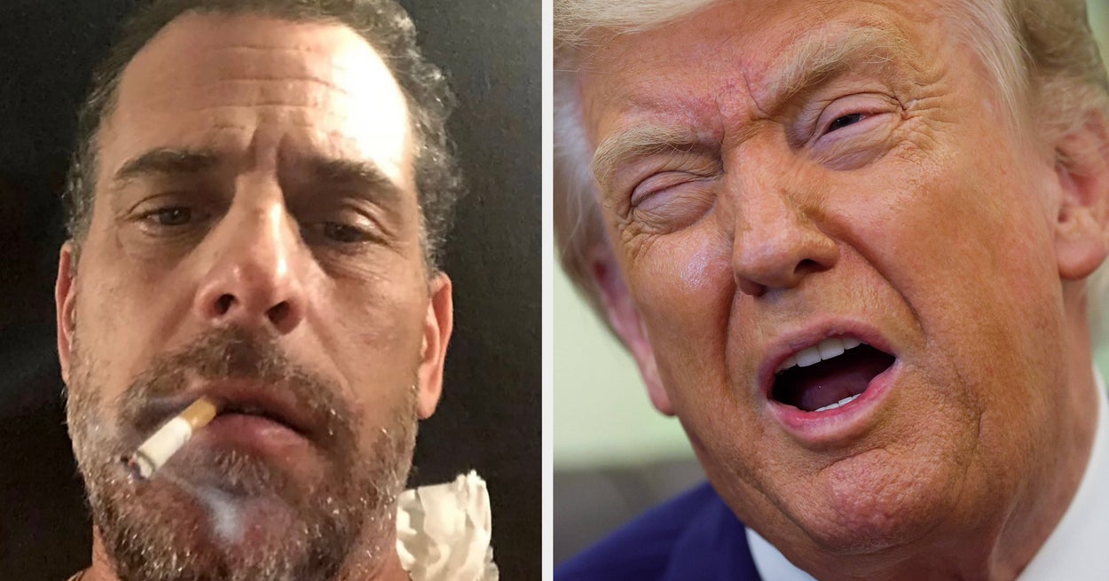 Hunter Biden leverte nettopp et enlinjet klaps mot Donald Trump som umiddelbart ble viralt