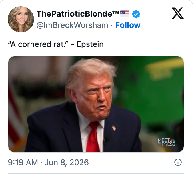 Tweet av ThePatrioticBlonde som siterer 