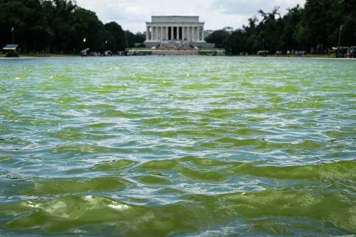 Det reflekterende bassenget med rislende vann fører til Lincoln Memorial i det fjerne, omgitt av trær og besøkende
