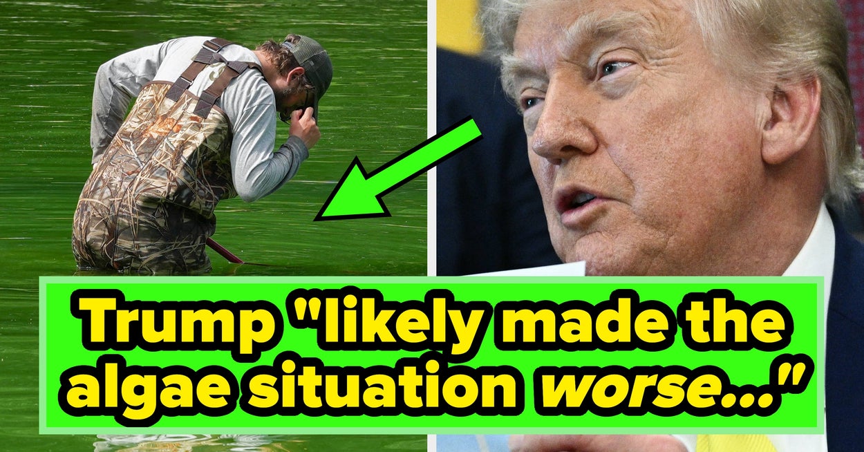 Trumps reflekterende pool-hendelse har skapt en morsom ny definisjon av "MAGA", og folk kan ikke slutte å le