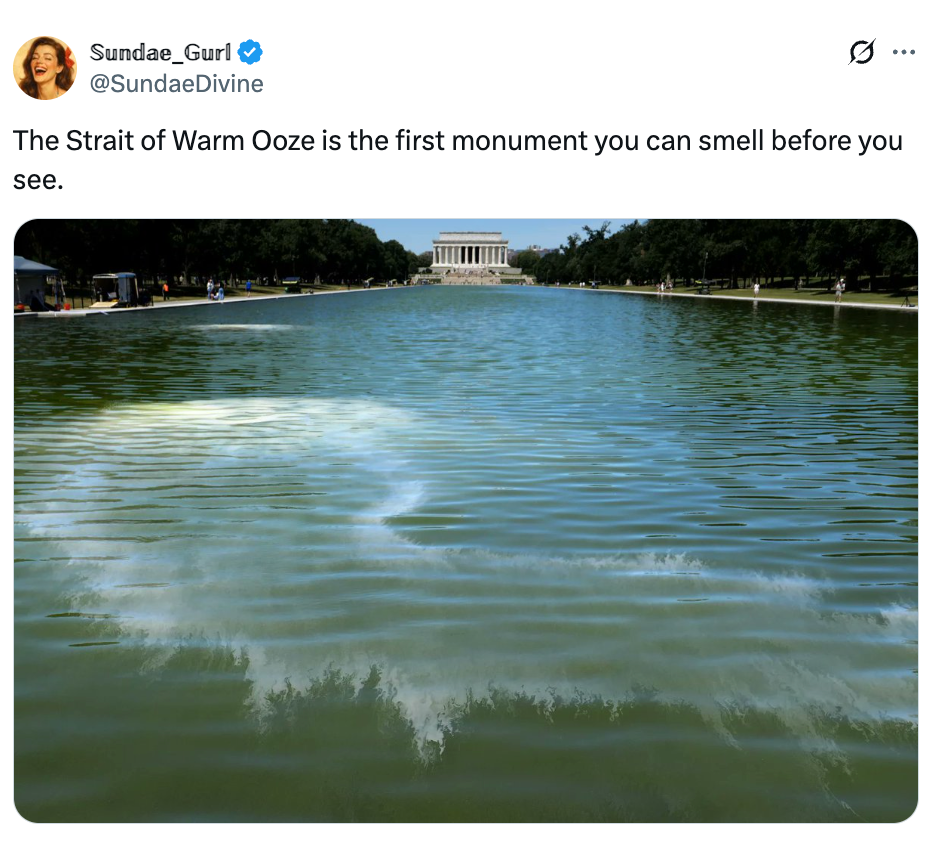 Bilde av et reflekterende basseng med humoristisk tweet over: "The Strait of Warm Ooze er det første monumentet du kan lukte før du ser."
