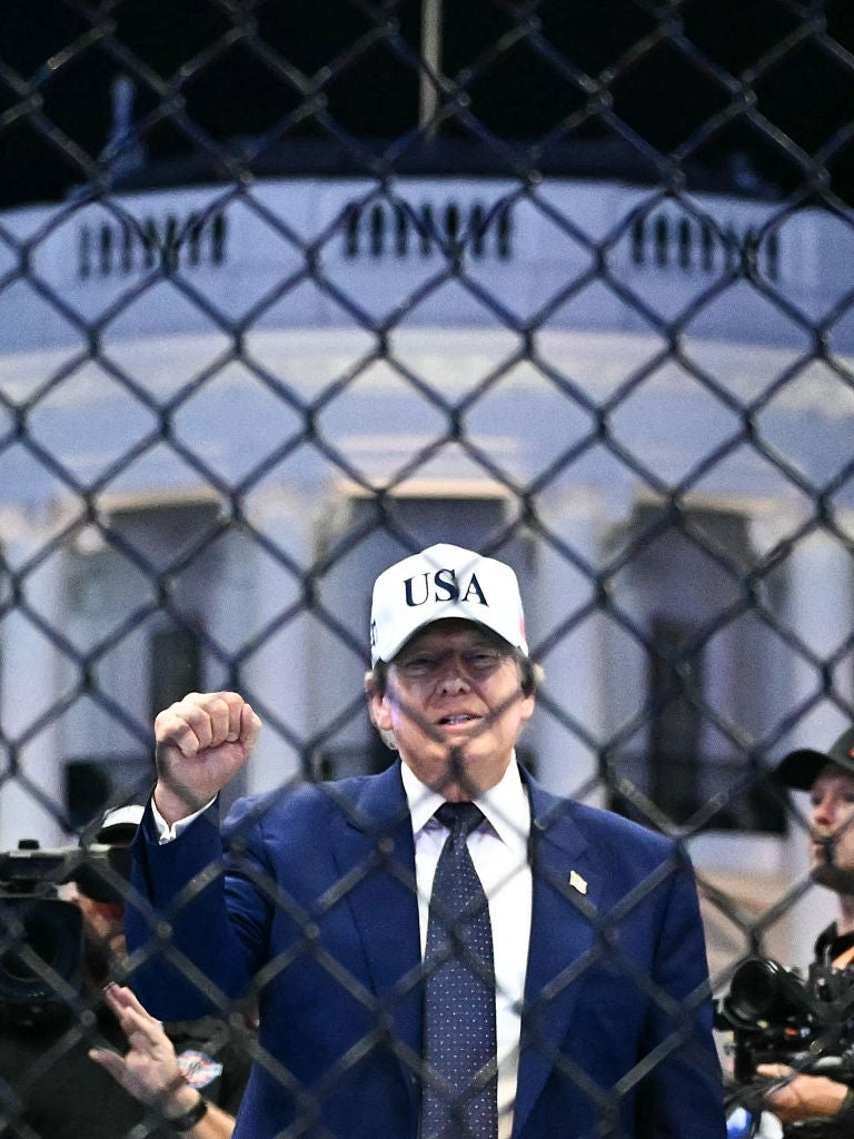 Person i dress og USA-hette står bak et kjettinggjerde, med en bygning som ligner Det hvite hus i bakgrunnen