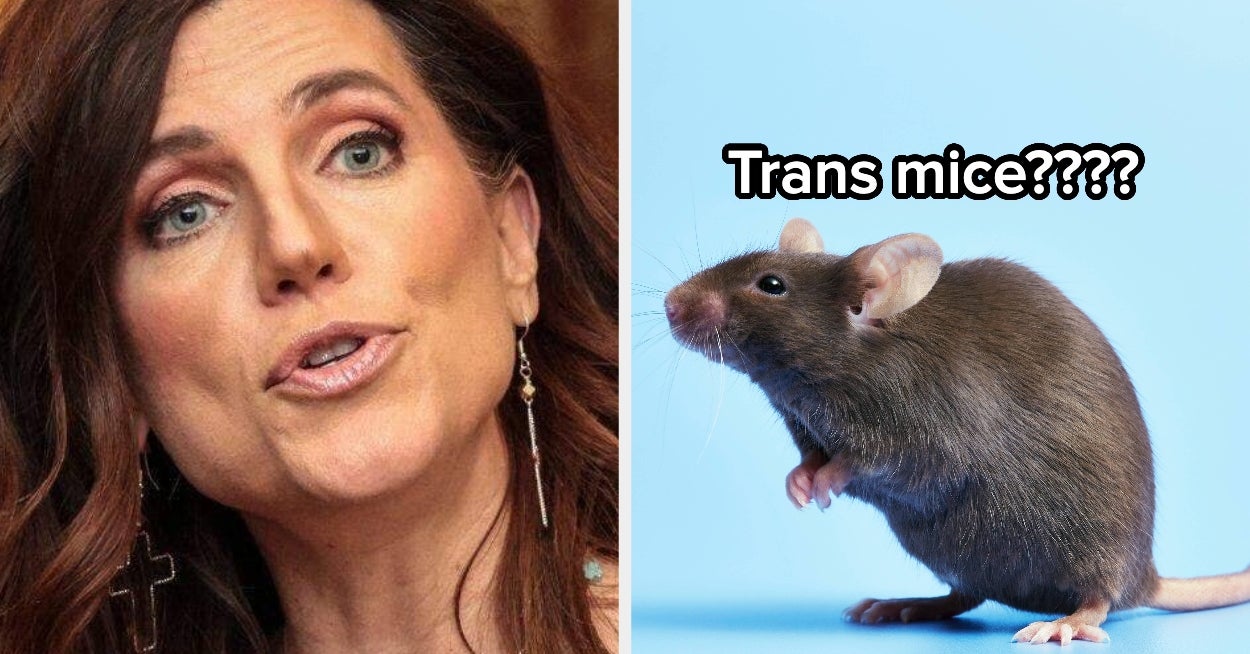 Nancy Mace gikk på en tirade om transkjønnede mus og ble deretter truffet med en faktasjekk så ydmykende at jeg stønnet høyt