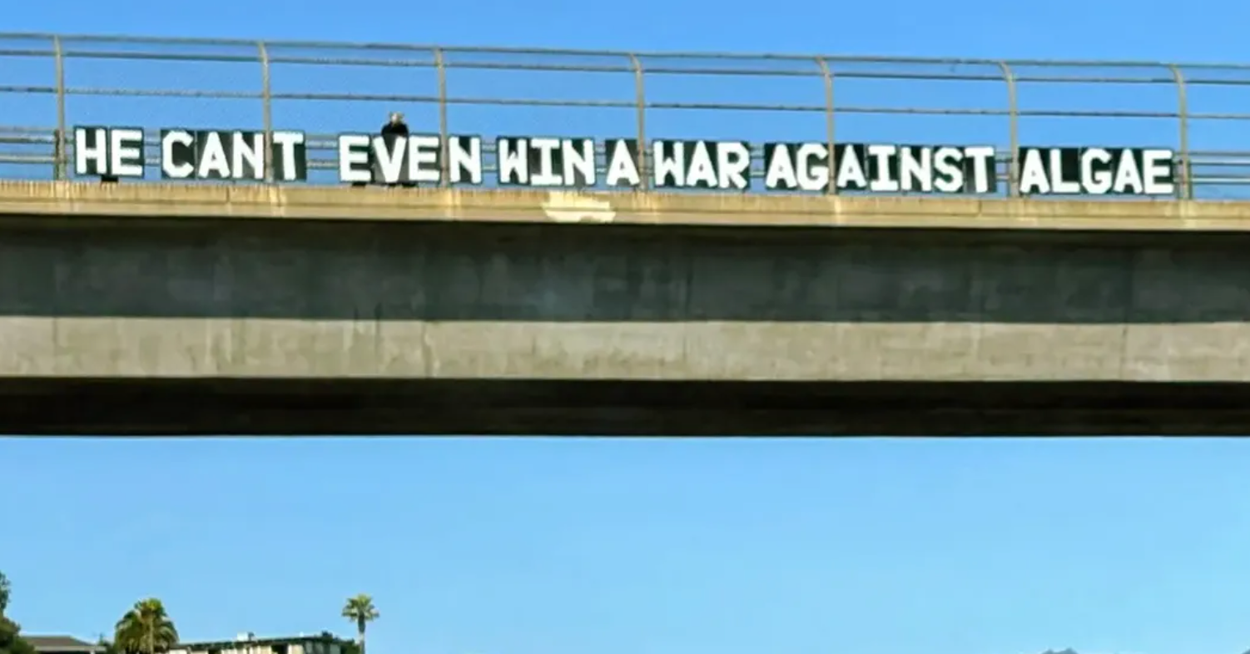 25 broskilt som absolutt vil irritere Donald Trump, og jeg mener virkelig sette ham av