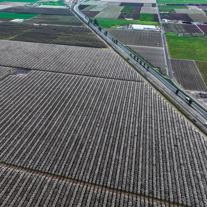 Luftfoto av store jordbruksmarker med klare linjer og en vei som går gjennom, noe som indikerer storskala jordbruk