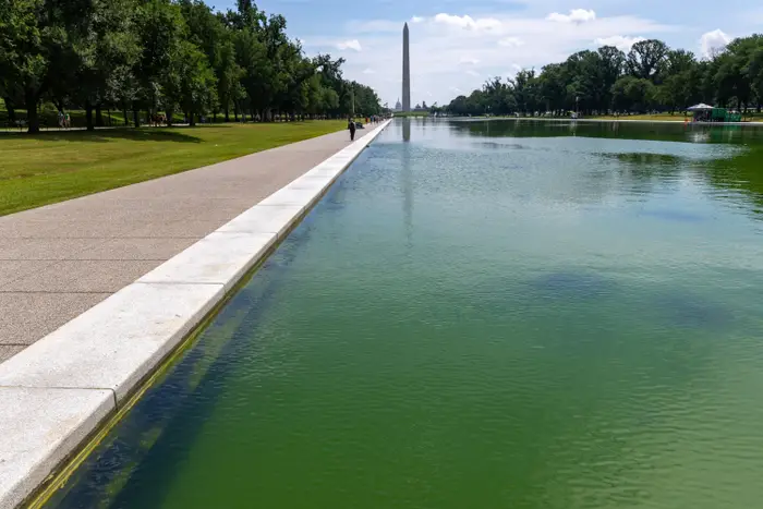 Reflekterende basseng og Washington-monumentet på en solrik dag, med trær langs gangveien, i Washington DC
