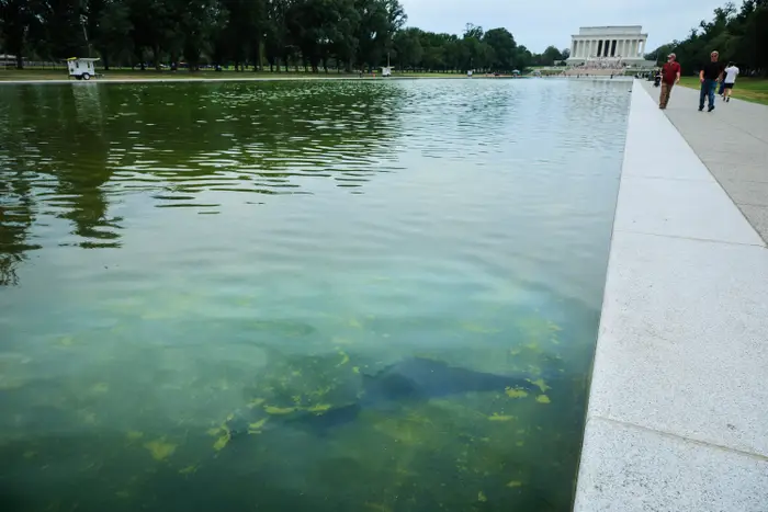 Reflekterende basseng med nedsenket gjenstand nær siden; Washington Monument synlig i bakgrunnen. Folk som går langs kanten