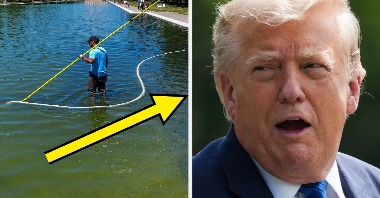 Trump trekker seg endelig tilbake fra denne ville påstanden han har gjentatt i flere måneder