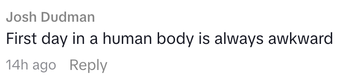 Kommentaren lyder: