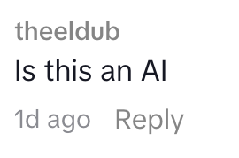 Kommentar fra theeldub som spør: