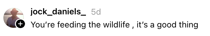 Kommentar som leser "Du mater dyrelivet, det er bra" av bruker jock_daniels_ postet for 5 dager siden