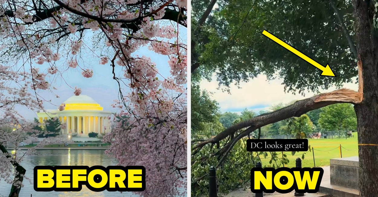 "Han suger livet ut av det": Denne TikTok-en som viser hvordan DC faktisk ser ut i dag, under Trump 2.0, blir viral, og virkeligheten er så skremmende