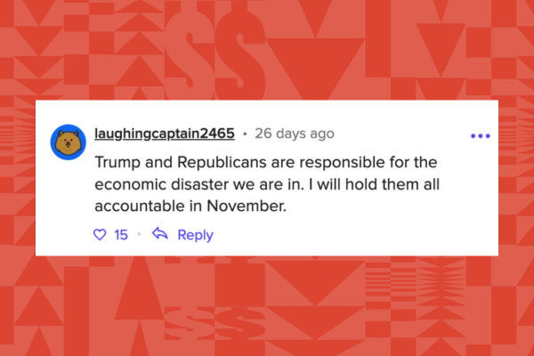 Sosiale medier-kommentarer som gir Trump og republikanere skylden for økonomiske problemer, og lover ansvarlighet i valget i november