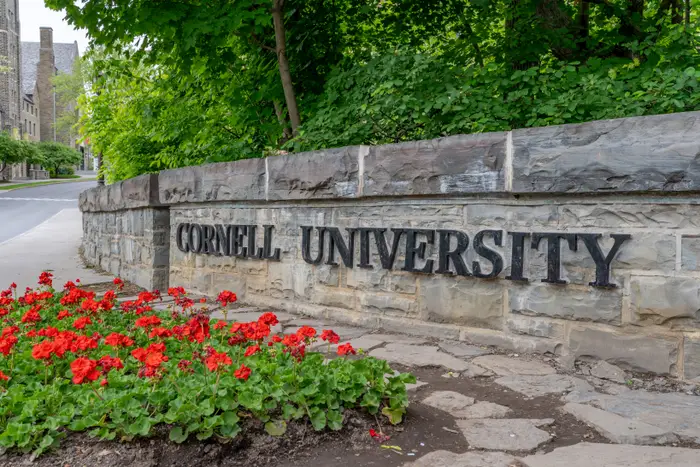 Cornell University-skilt på en steinvegg med røde blomster og grønne planter foran